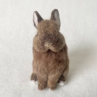 ［ペンネくん専用］