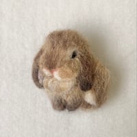［モネちゃん専用］