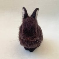 ［ココくん専用］