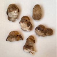 ［ぷりんちゃん専用］