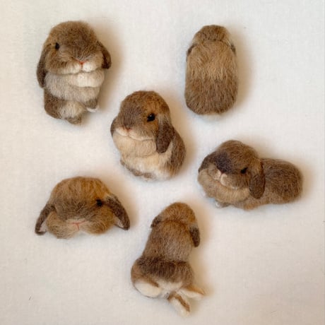 ［ぷりんちゃん専用］