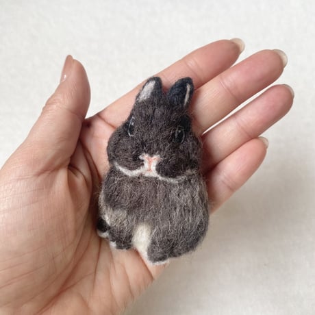 ［ちょこ太くん専用］