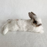 ［ミミちゃん専用］