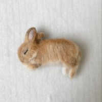 ［ぴょんちゃん専用］