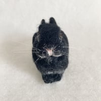 ［ココちゃん専用］