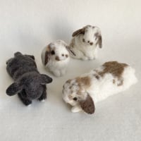 ［チップちゃん＆チョコちゃん＆おはぎちゃん＆パクちゃん専用］