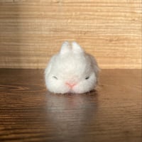 しらたま（羊毛のみ）01