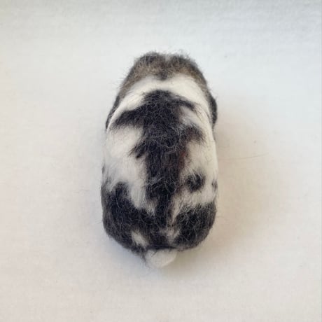［きぬちゃん専用］