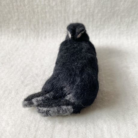 ［ころちゃん専用］