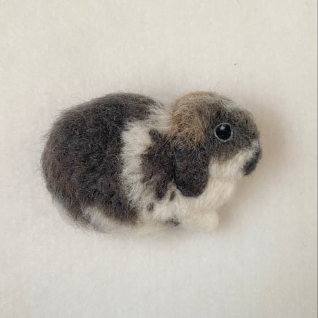［あんこちゃん専用］