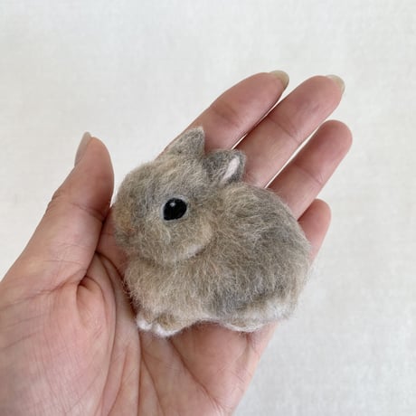 ［こはくちゃん＆なつめちゃん専用］