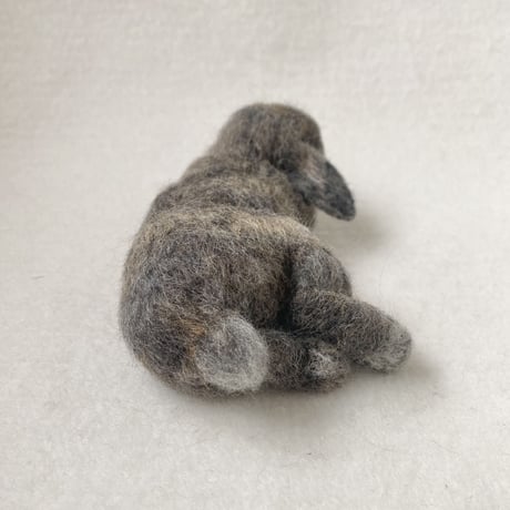 ［クッキーちゃん専用］