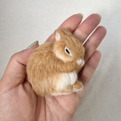 ［とらちゃん専用］