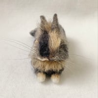 ［むぎちゃん専用］
