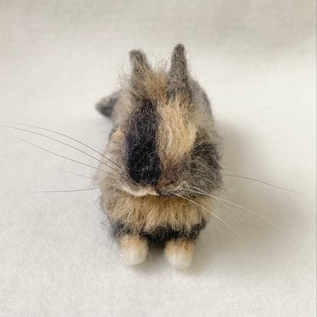 ［むぎちゃん専用］