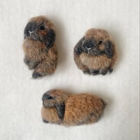 ［モカちゃん専用］