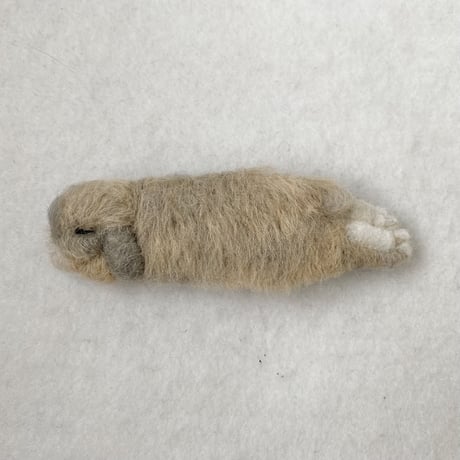［きなこちゃん専用］