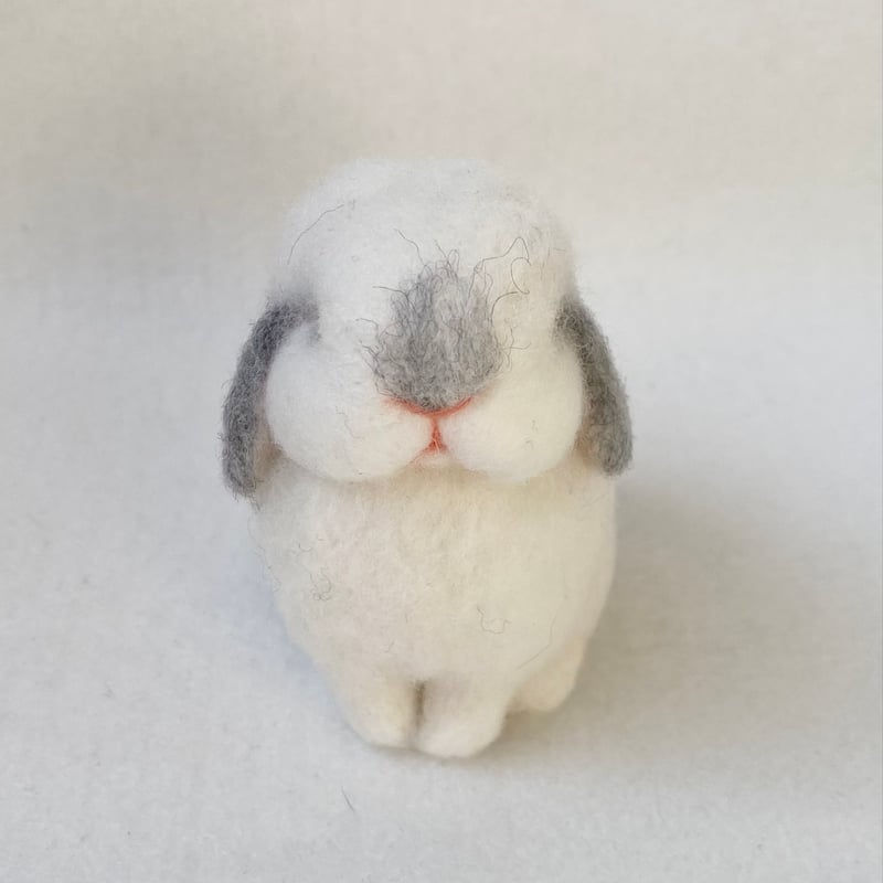 ホーランドロップの羊毛うさぎ［フロスティ］ | 103WORKS