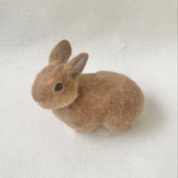 ［月見ちゃん専用］