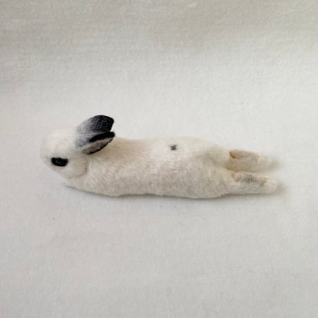 ［蒼ちゃん専用］
