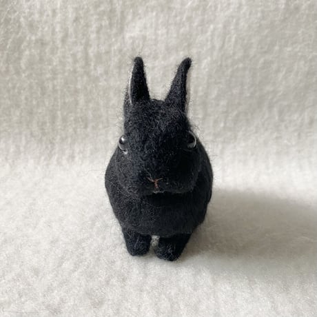 ［ころちゃん専用］