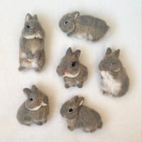 ［リンちゃん専用］