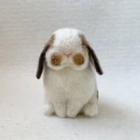 ［こももちゃん＆モコちゃん専用］