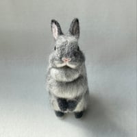 ［ももちゃん専用］