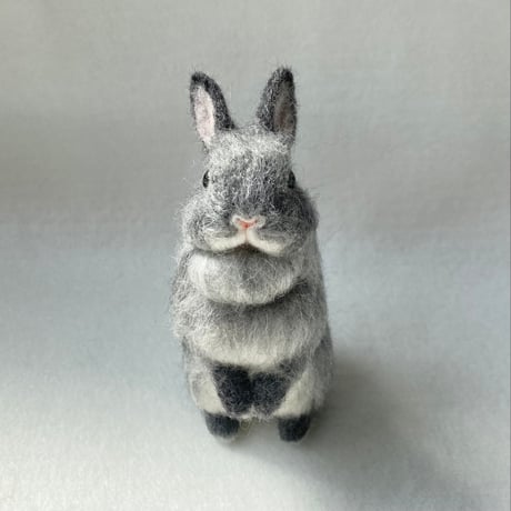 ［ももちゃん専用］