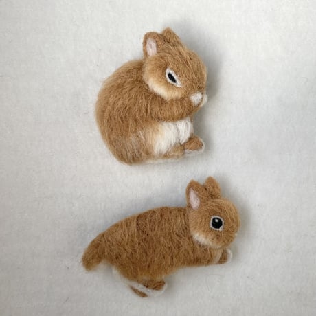 ［とらちゃん専用］