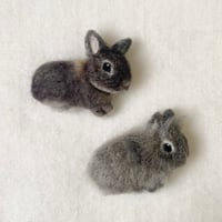 ［いちうさちゃん＆うさじちゃん専用］