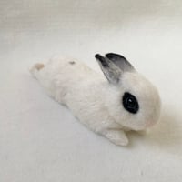 ［蒼ちゃん専用］