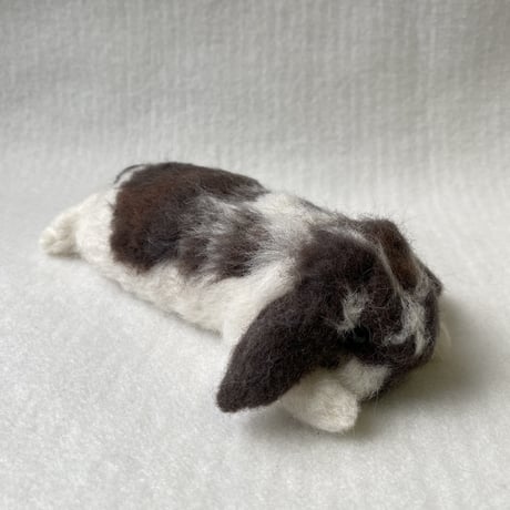 ［たえこちゃん専用］