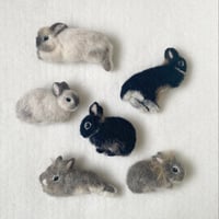［コルビジェちゃん＆ザハちゃん＆シャルルちゃん専用］