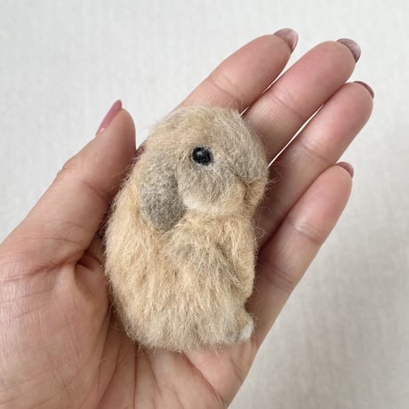 ［だいきちくん専用］