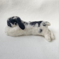 ［はなちゃん専用］