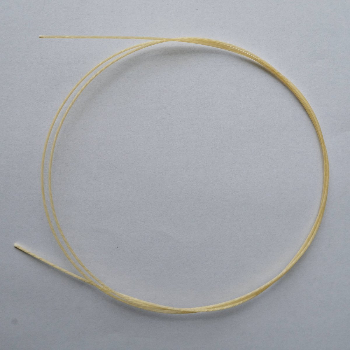 Gamut ガット弦 チェロ D線 Lyon Heavy 1.58mm | unison sh