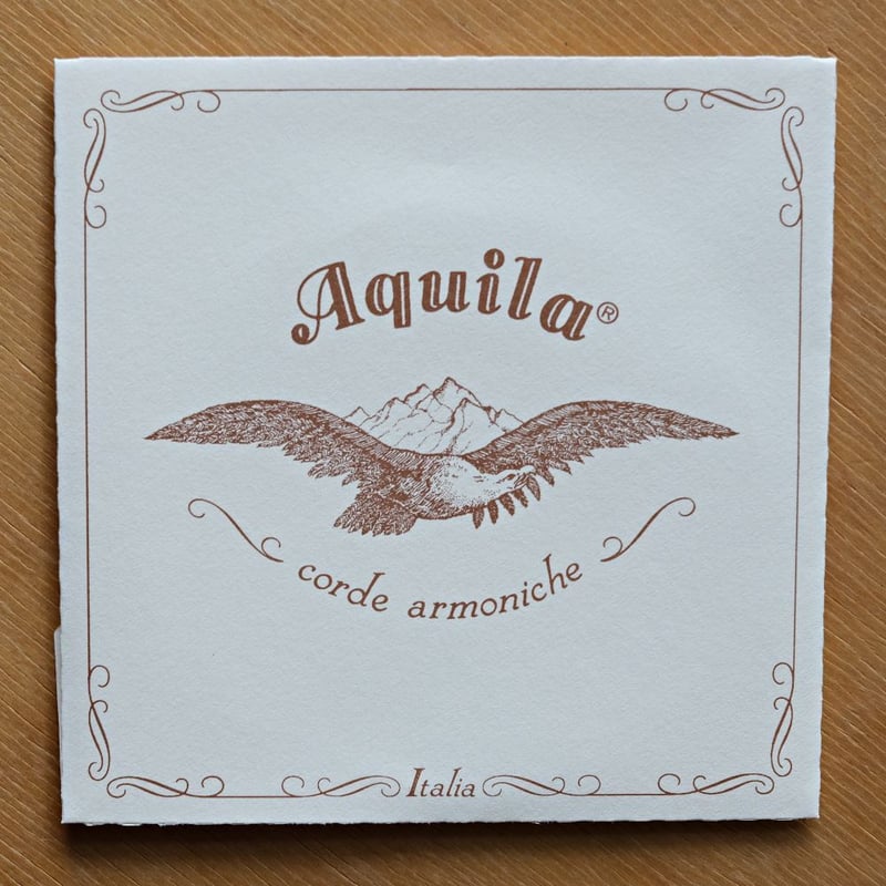 Aquila ガット弦 D線 112HV - Varnished gut string 2本分