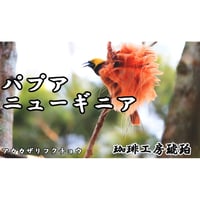 パプアニューギニア　自家焙煎コーヒー豆　200g