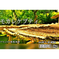 【業務用】モカレケンプティ  1㎏（500g×2個）