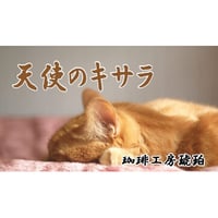 ブレンド 天使のキサラ　自家焙煎珈琲豆　200g