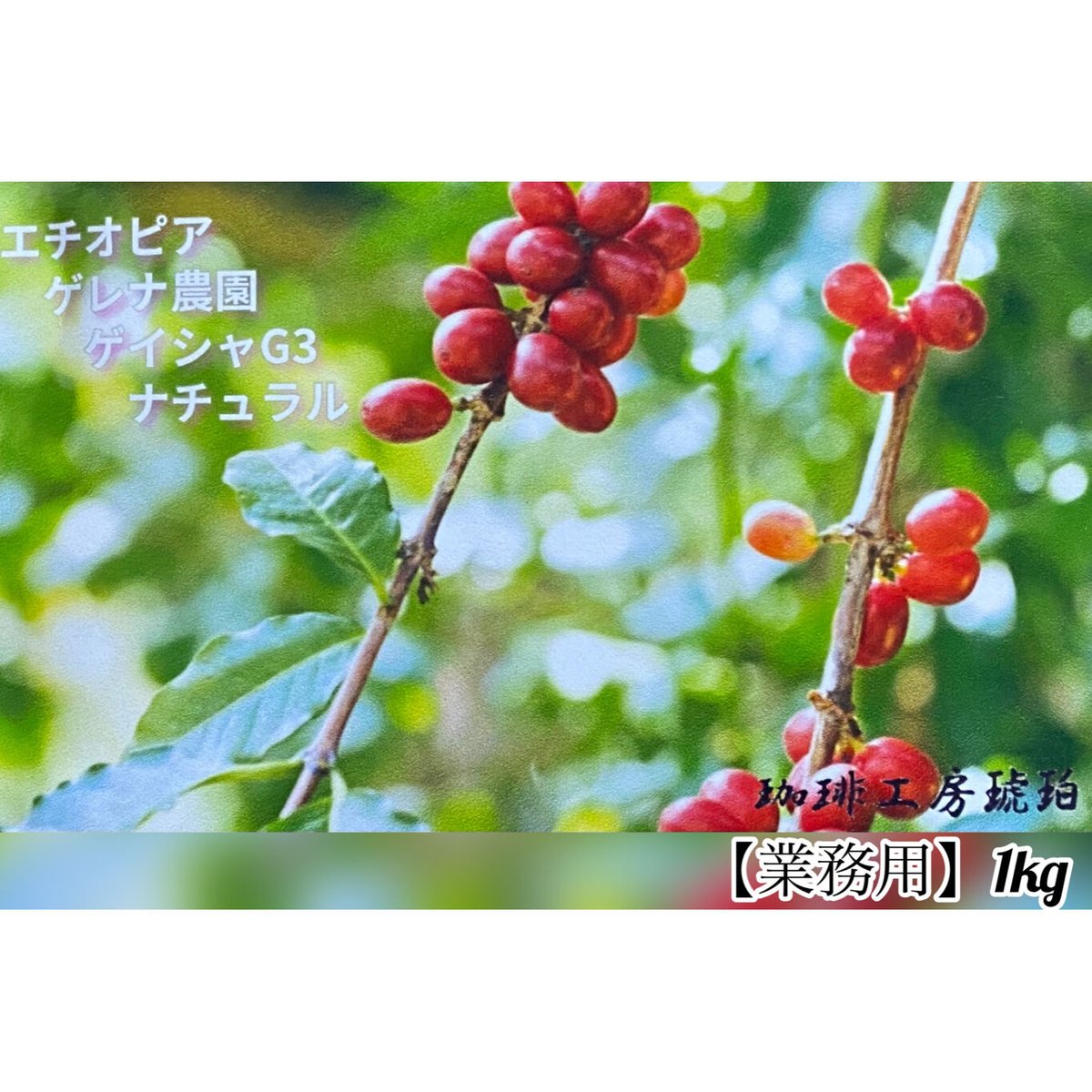 業務用】エチオピア ゲレナ農園 ゲイシャG3〜ナチュラル〜 1kg(500g×2