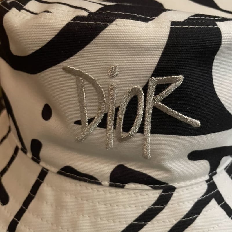 L！国内完売！激レア！DIOR Shawn Stussy ディオール ステューシー 総