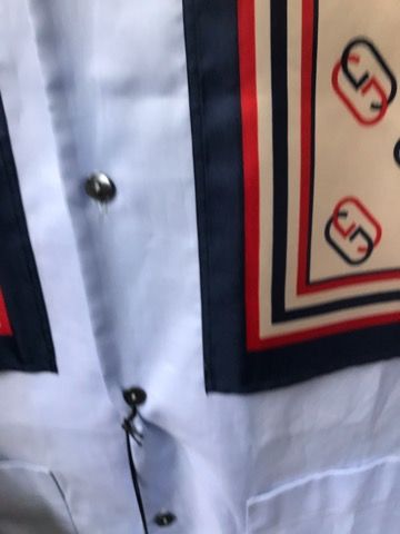 新品タグ付きGUCCI グッチ ライオン＆GGプリント シルクパネル