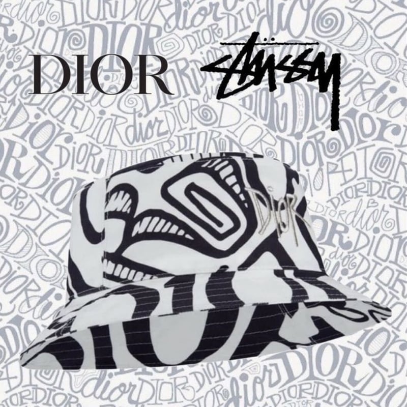 L！国内完売！激レア！DIOR Shawn Stussy ディオール ステューシー 総