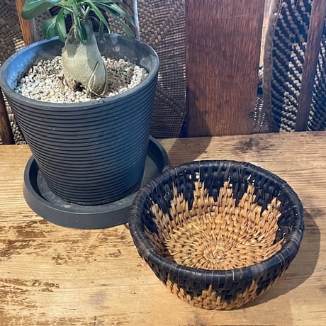 CATEGORY バスケット | mandrake