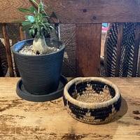 南アフリカ　ズールーバスケット　ミニ