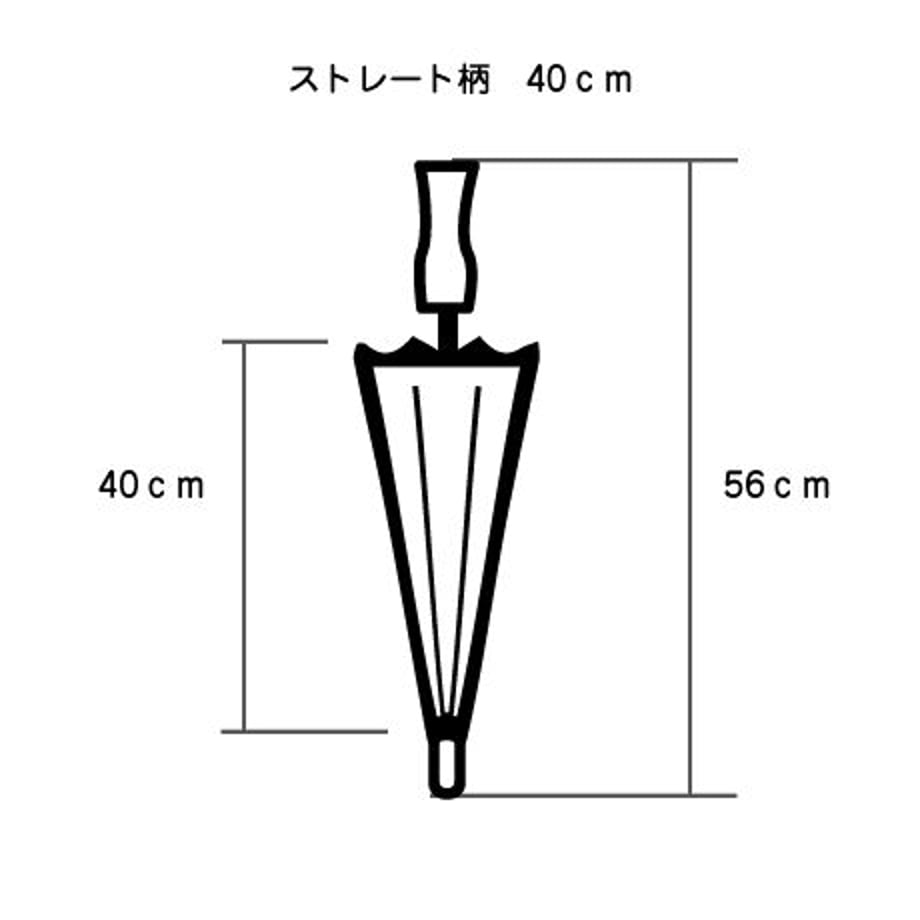 62513393b2f36526e5b48291