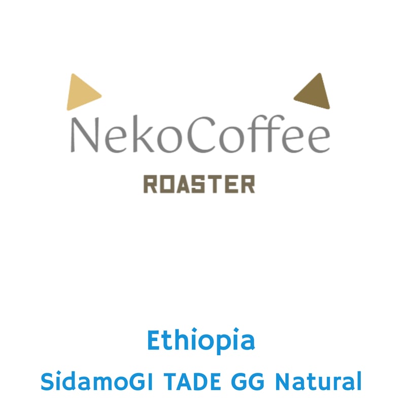 エチオピア シダモ G1 ナチュラル 100g | NekoCoffee ROASTER