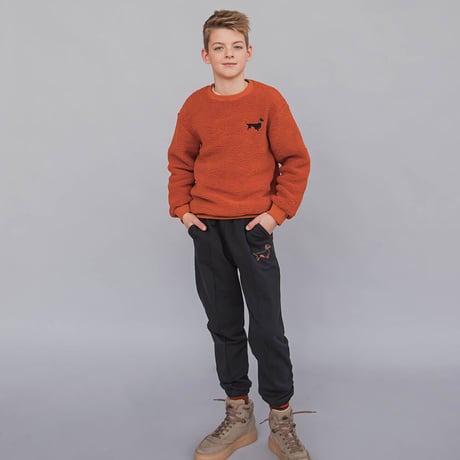 【CARLIJNQ】Dachshund-sweater with embroidery(brown）
